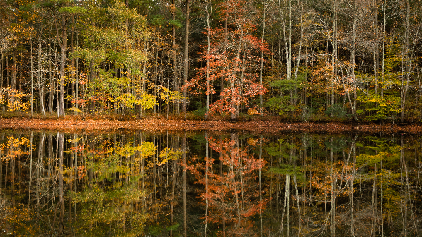 3rd PrizeAssigned Pictorial In Class 2 By Paul Sylvia For Quantico Pond Fall Reflections DEC-2021.jpg